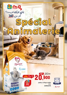 Flyer Animalerie