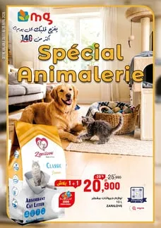 Flyer Animalerie