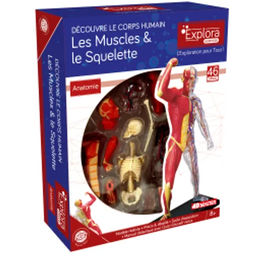 Kit de Découverte - Squelette et muscles du corps humain Kit de Découverte - Squelette et muscles du corps humain