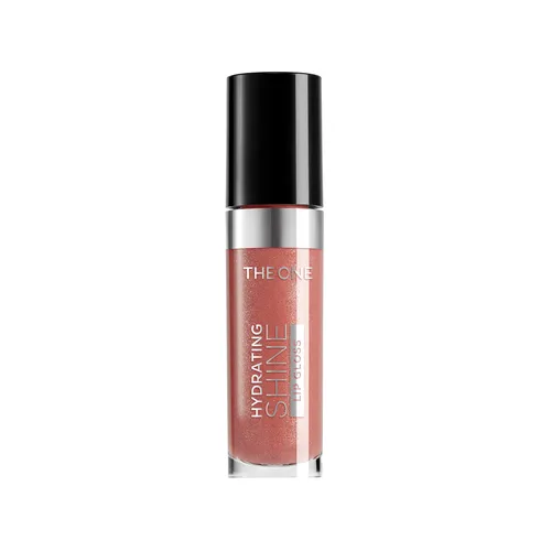 Gloss à Lèvres Hydratant et Brillant THE ONE
